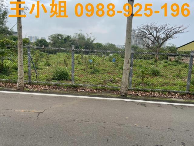 中壢農地-3