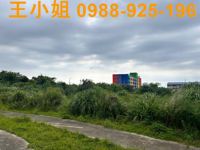 桃園建地-9