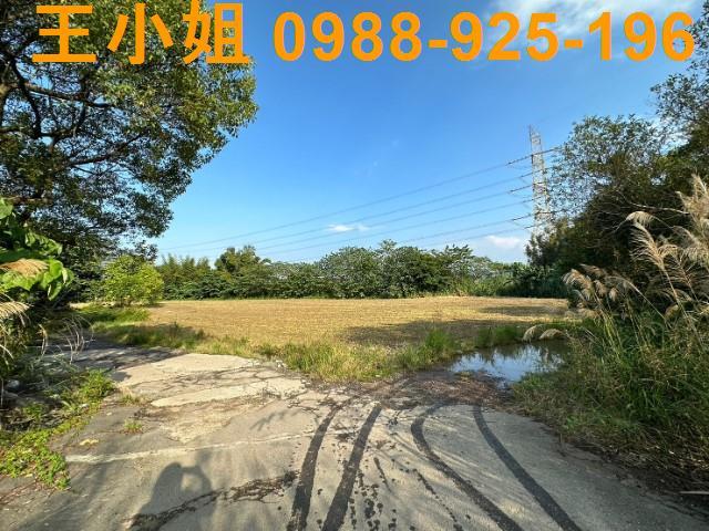 桃園農地-9