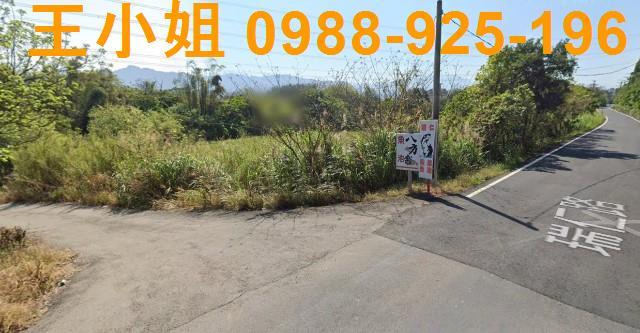 桃園農地-6