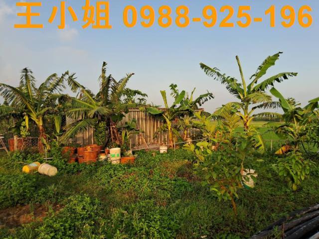 桃園農地-3