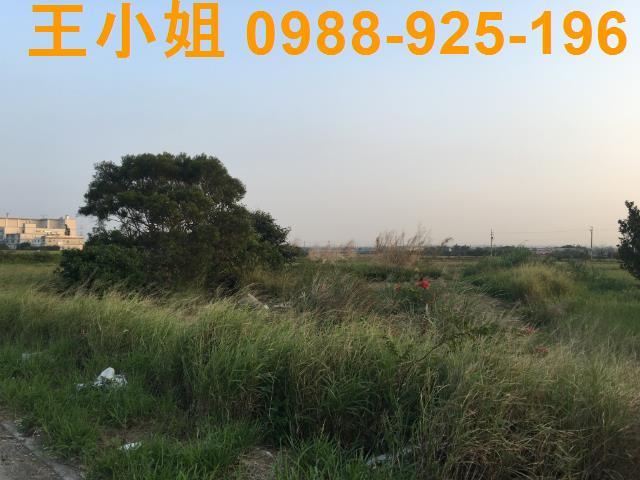 桃園農地-3