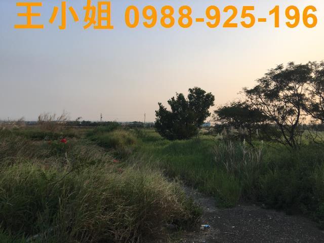 桃園農地-4