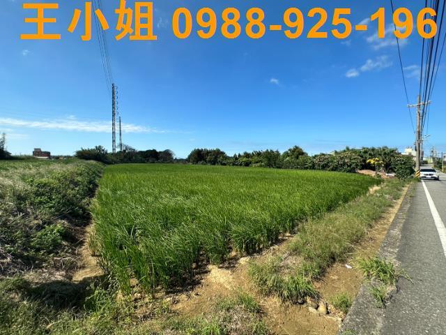 桃園新屋農地-4
