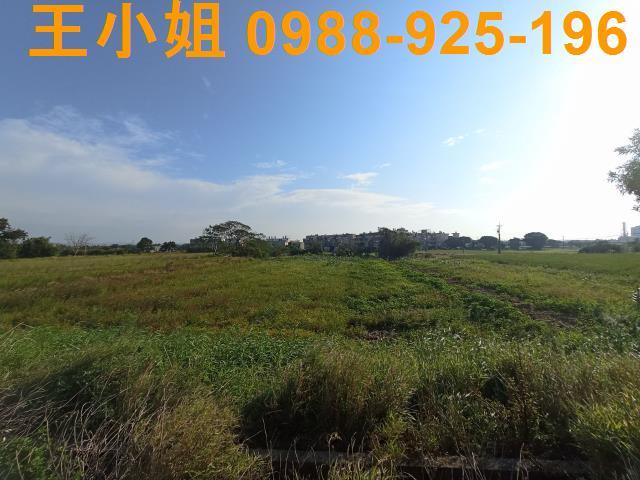 桃園農地-0