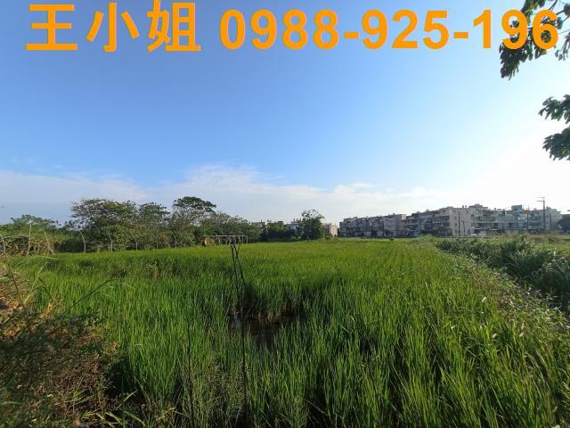 桃園農地-1