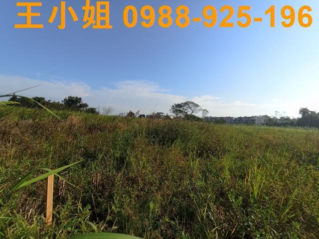 桃園農地-2