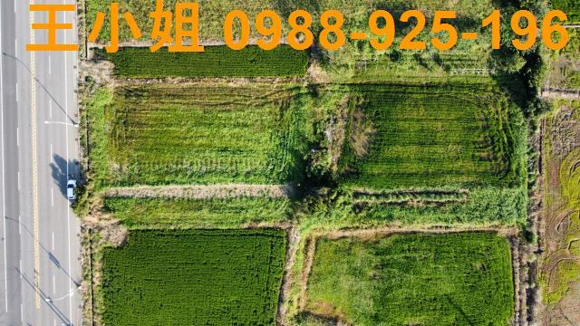 桃園農地-3