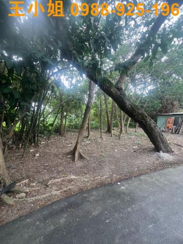 桃園八德建地-2