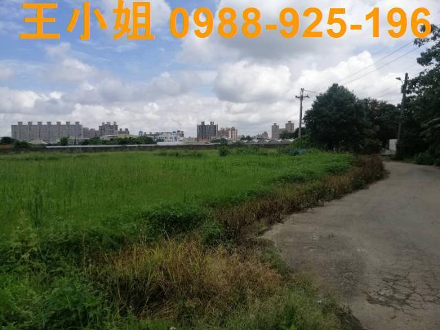 桃園桃園區農地-0