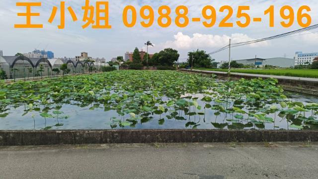 蘆竹農地-9