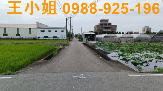 蘆竹農地-1