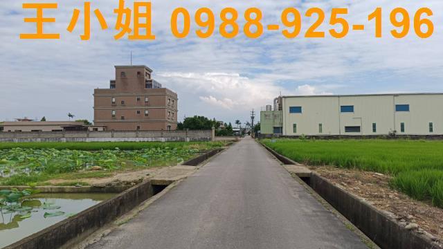 蘆竹農地-2