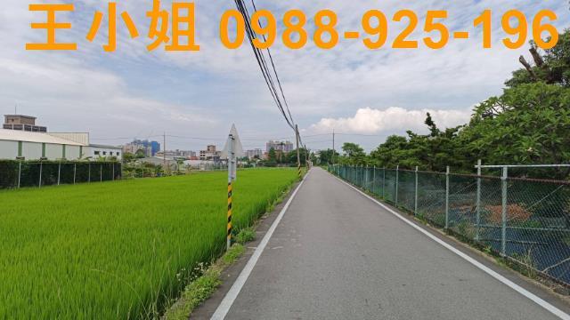 蘆竹農地-3