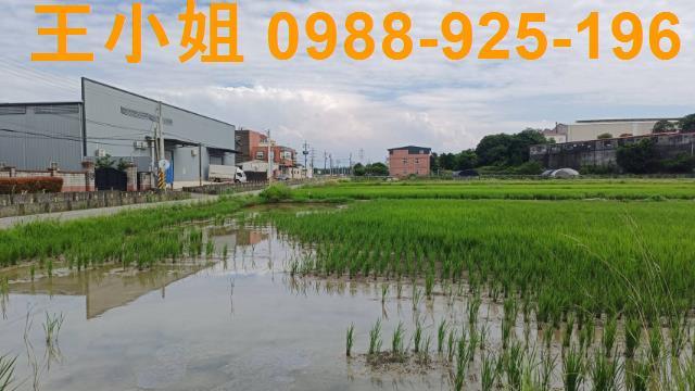 蘆竹農地-8