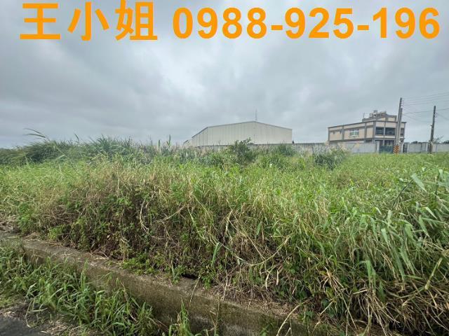 觀音農地-3