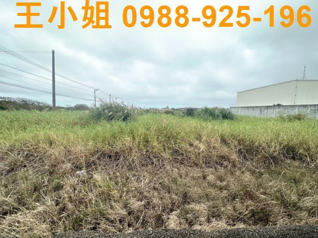 觀音農地-4