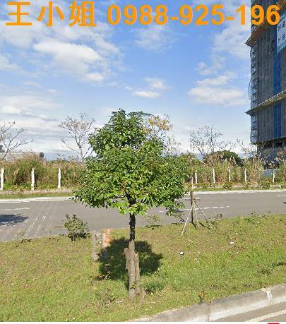桃園建地-1