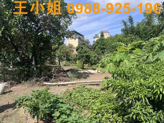 桃園區農地-8