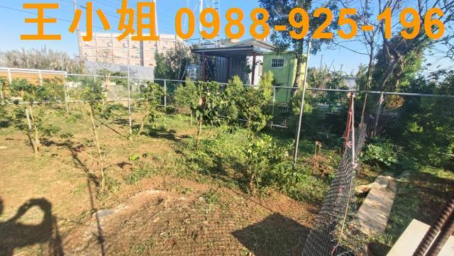 楊梅農地-6