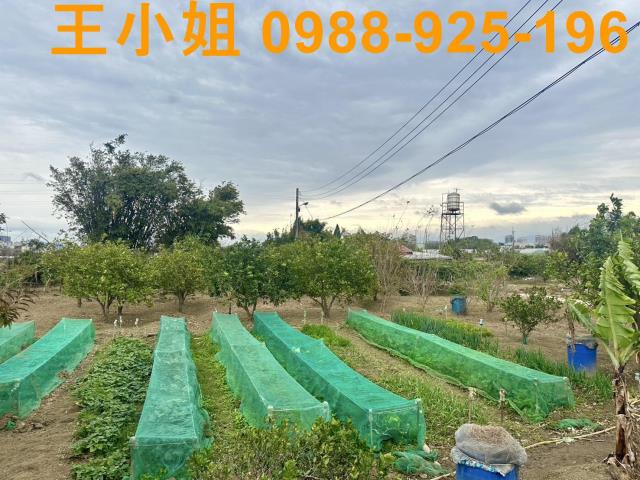 桃園農地-10