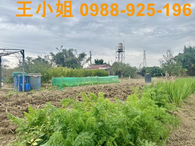 桃園農地-12