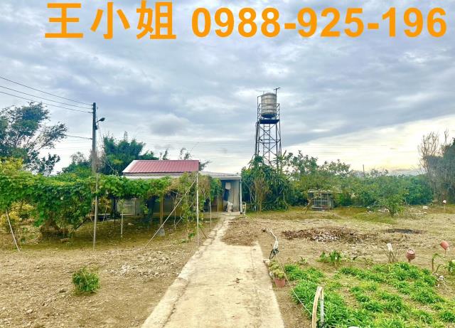 桃園農地-0