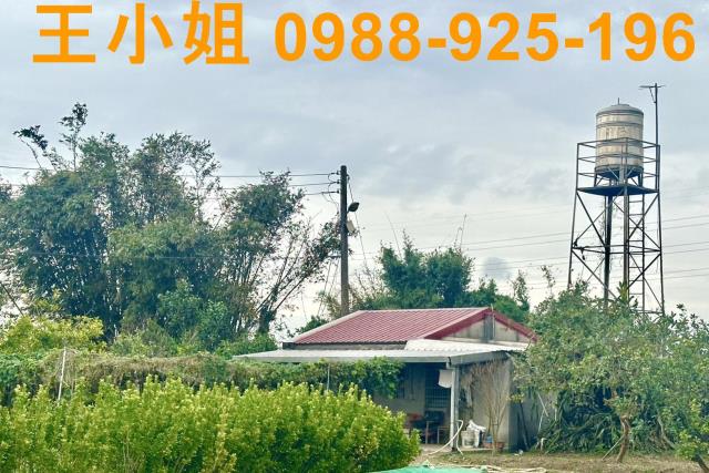 桃園農地-3