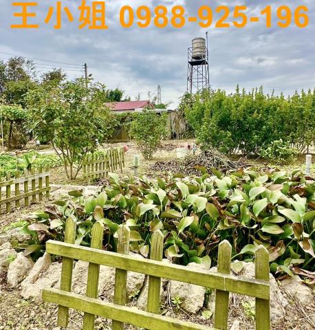 桃園農地-4