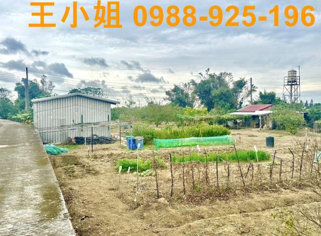 桃園農地-5