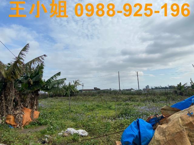 桃園中壢農地-8