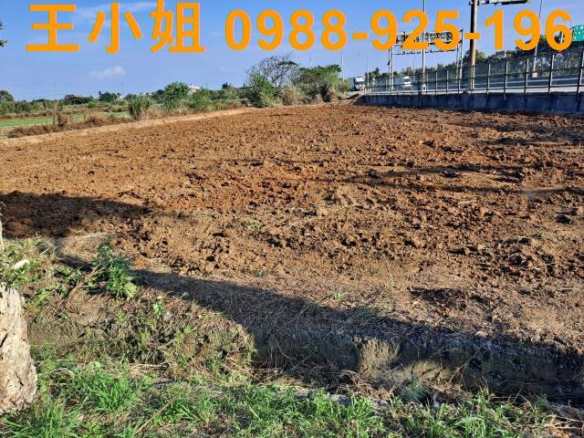 桃園觀音農地-2