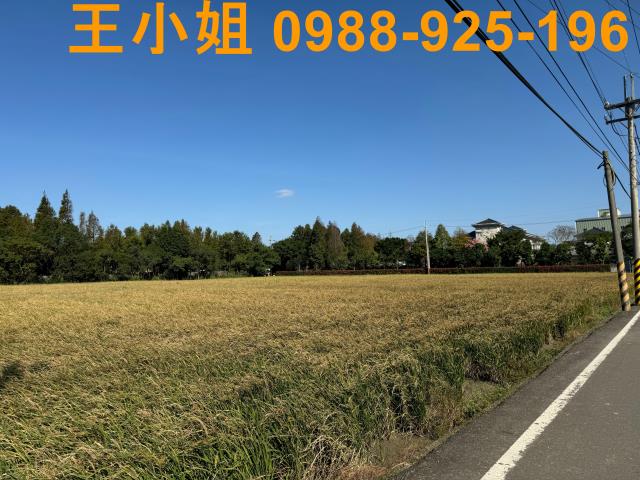 桃園農地-5