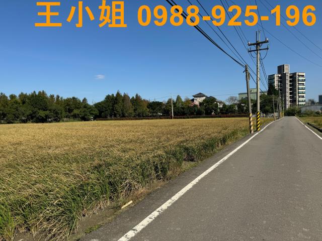 桃園農地-6