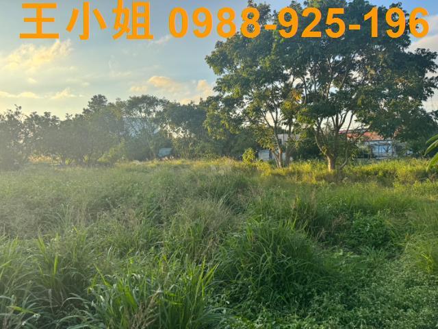 桃園蘆竹農地-10