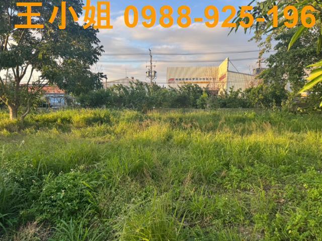 桃園蘆竹農地-11