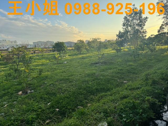 桃園蘆竹農地-14