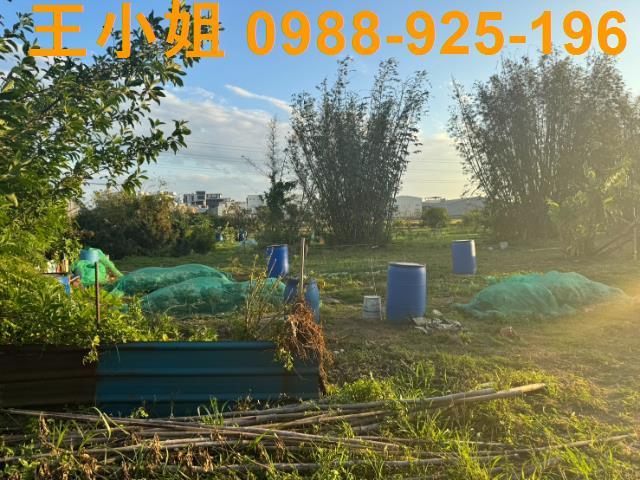 桃園蘆竹農地-2
