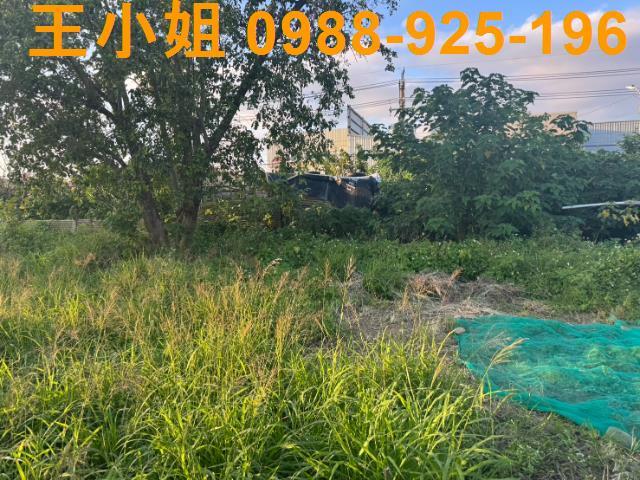 桃園蘆竹農地-4