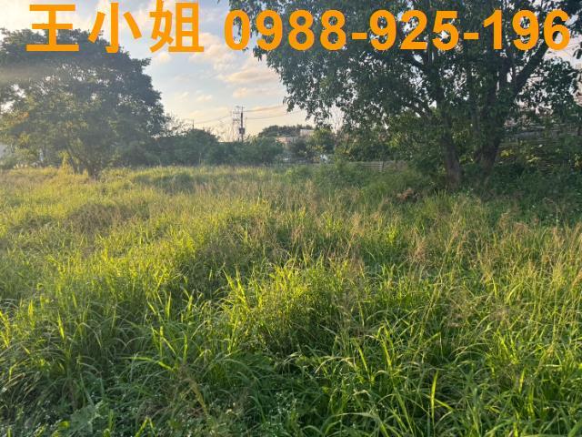 桃園蘆竹農地-5