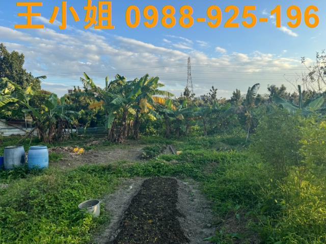 桃園蘆竹農地-6