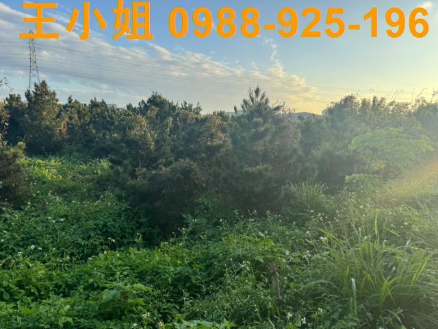 桃園蘆竹農地-7