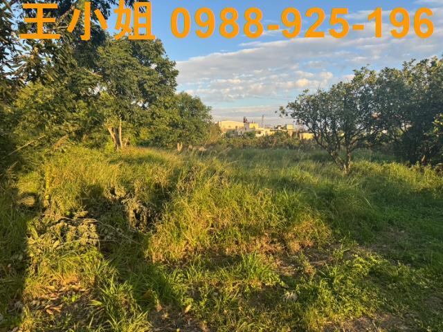 桃園蘆竹農地-8