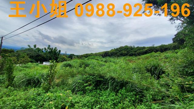 桃園龍潭農地-9
