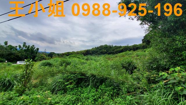 桃園龍潭農地-10