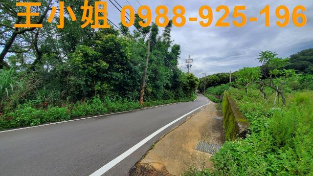 桃園龍潭農地-0