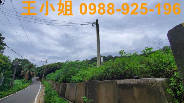 桃園龍潭農地-4