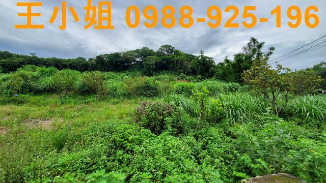 桃園龍潭農地-6