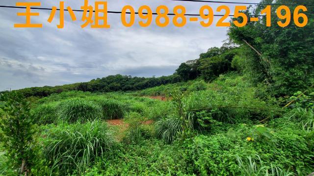 桃園龍潭農地-7