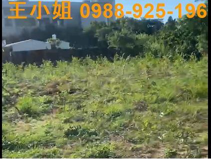 桃園大溪農地-4